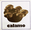 Calamo (F/O) - inside 2