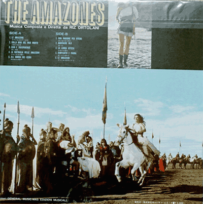 The amazones (F/O) - back cover